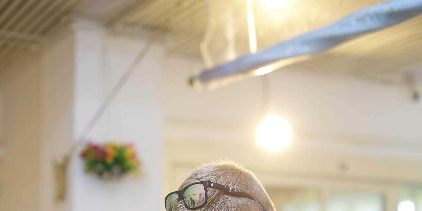 House of Taste | Lớp học nấu ăn Thái thực hành & Tour Chợ